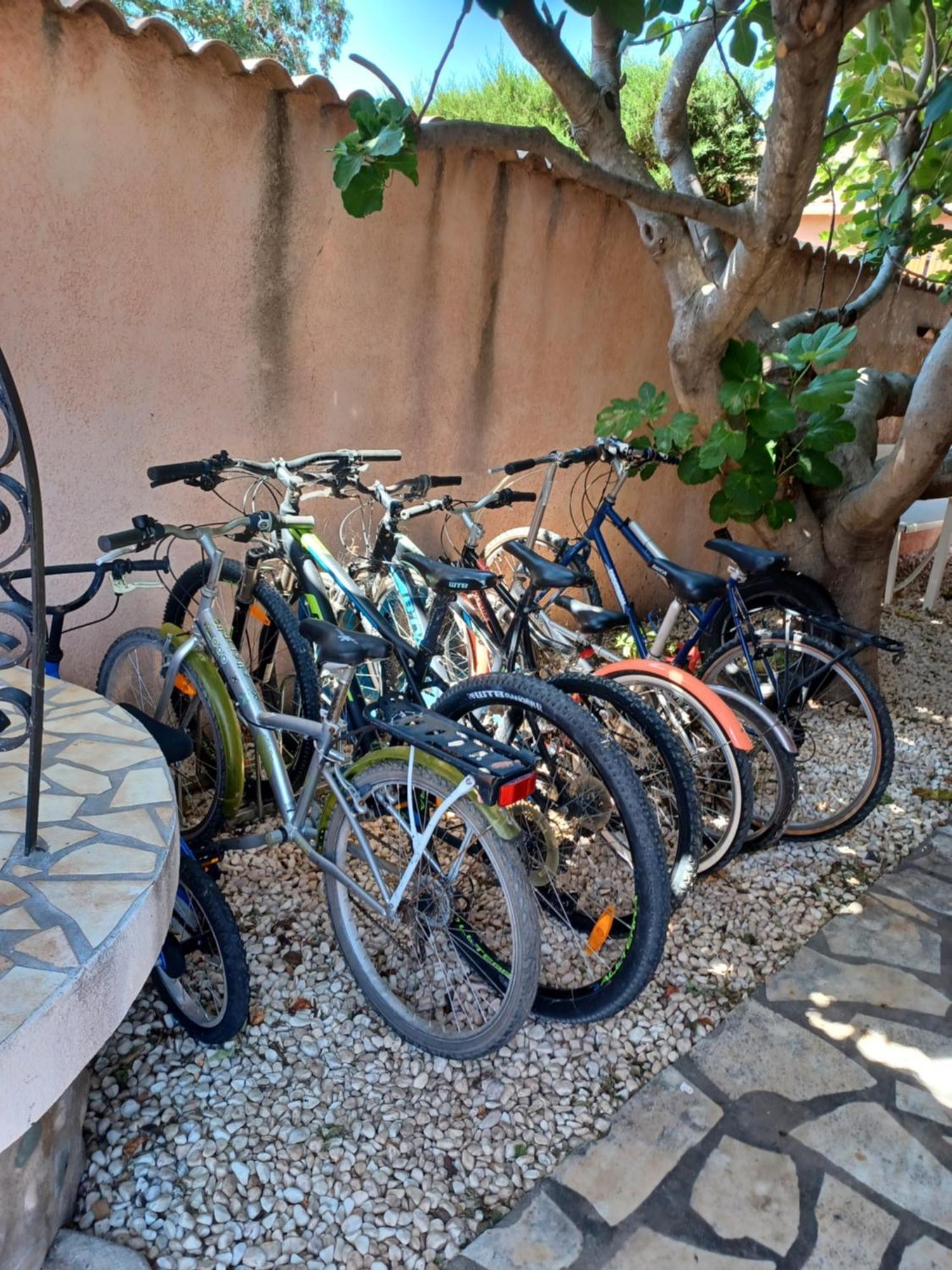 Apartamento Le Clos D'Amandine Sallèles-dʼAude Exterior foto